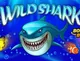 Wild Shark NV Casino
